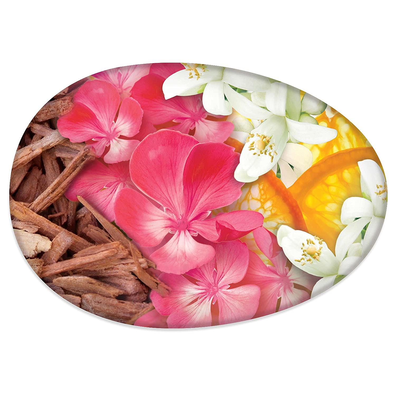 beauty product